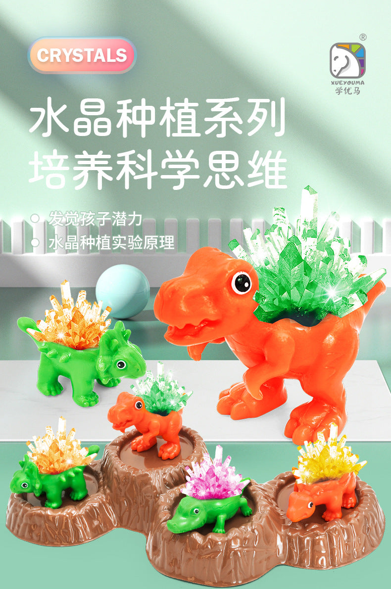 Premium Crystal Growing Experiment Kit Handicraft Class Making Crystal Growth Educational Science Toy for Elementary School Students