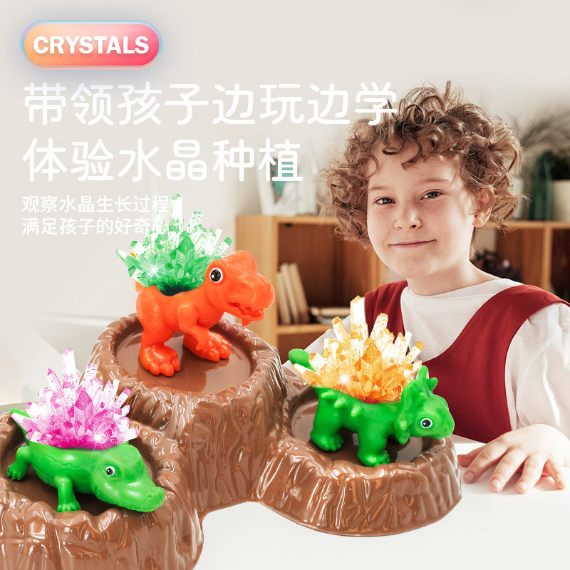 Premium Crystal Growing Experiment Kit Handicraft Class Making Crystal Growth Educational Science Toy for Elementary School Students