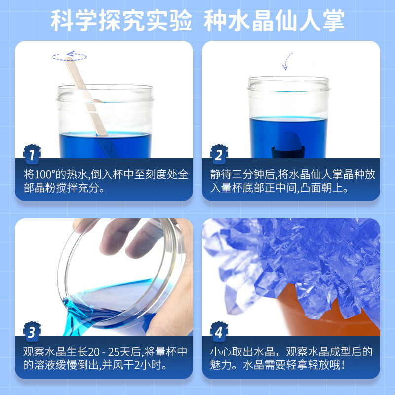 ECOEY Cross-Border Amazon Growing Crystal Crystal Crystal Seed Crystal Powder Children's Science Experiment Toy Kit