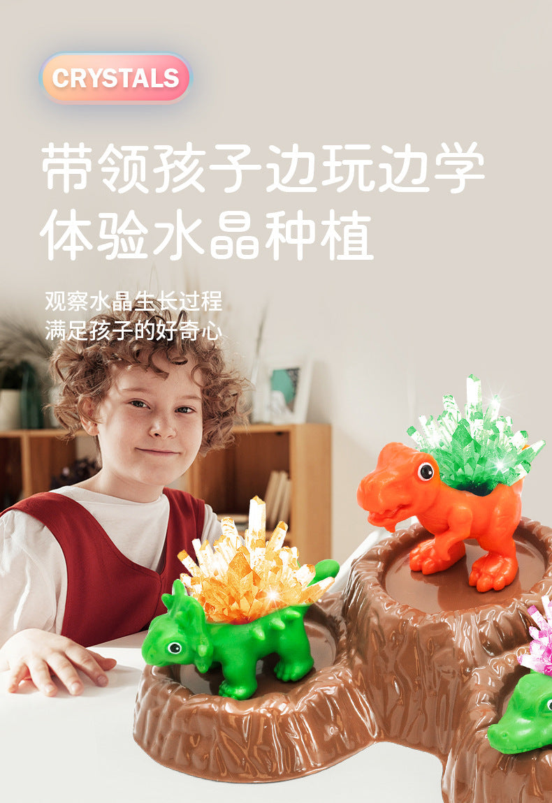 Premium Crystal Growing Experiment Kit Handicraft Class Making Crystal Growth Educational Science Toy for Elementary School Students