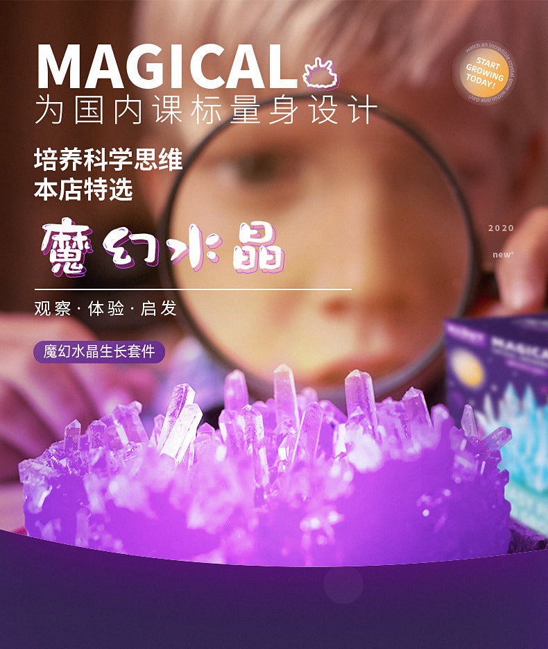 ECOEY Cross-Border Amazon Growing Crystal Crystal Crystal Seed Crystal Powder Children's Science Experiment Toy Kit
